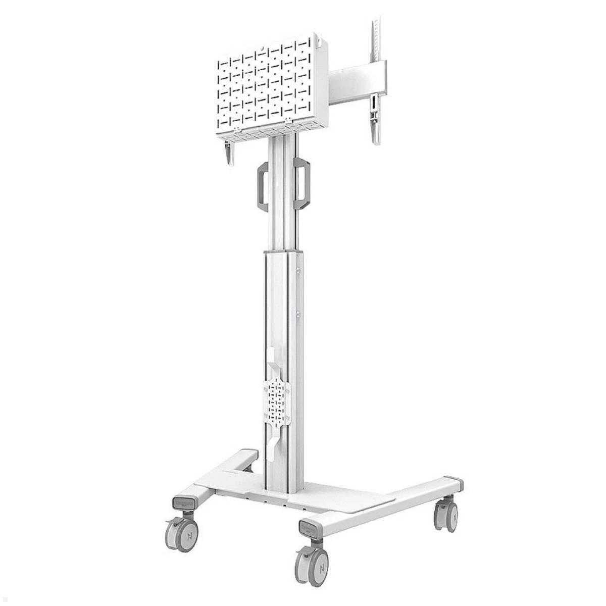 Neomounts FL50S-825WH1 mobiler TV Bodenständer 37 - 75 Zoll, weiß Videokonferenzen Neomounts FL50S-825WH1 mobiler TV Bodenständer 37 - 75 Zoll, weiß Videokonferenzen